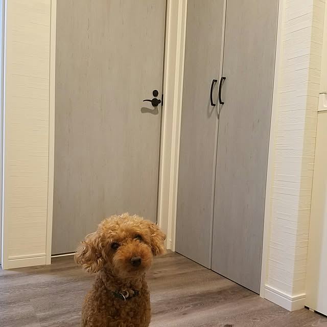 KENさんの実例写真