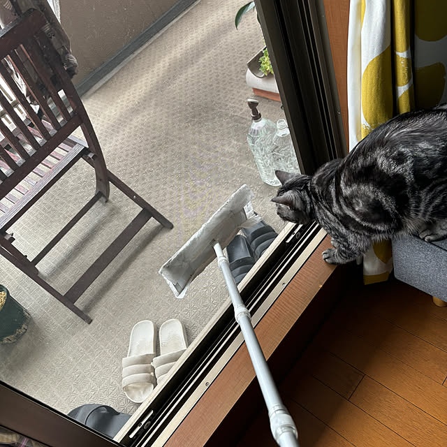 yuzuaoさんの部屋
