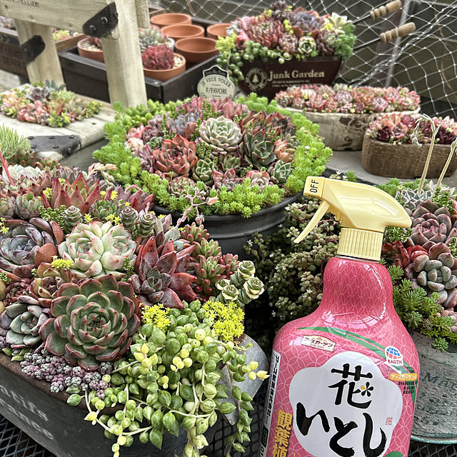 shhさんの実例写真