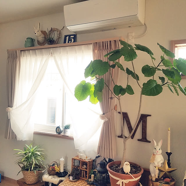 masax_xさんの実例写真