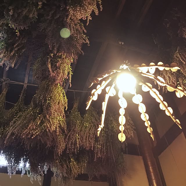 Nonさんの実例写真