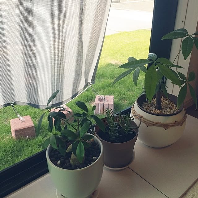 tan5さんの実例写真