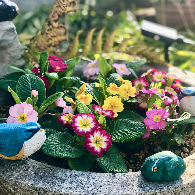maroさんの実例写真