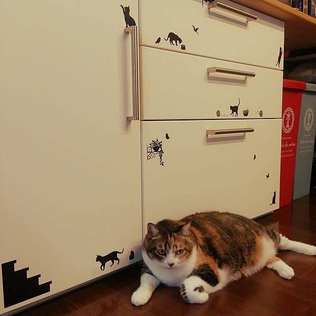 Htorikaraさんの実例写真