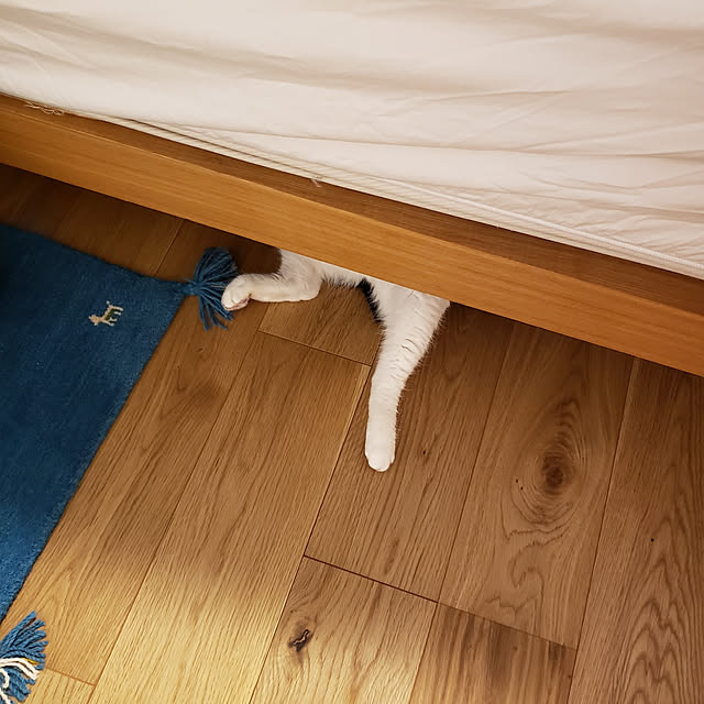 nyagosanさんの実例写真