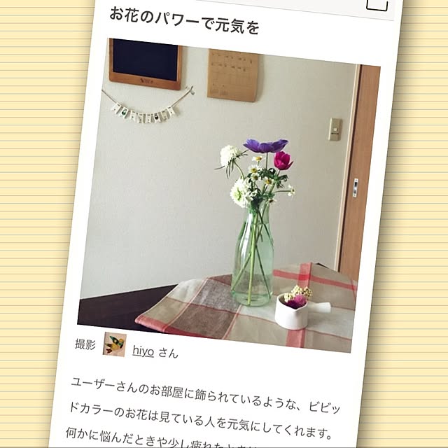 hiyoさんの実例写真