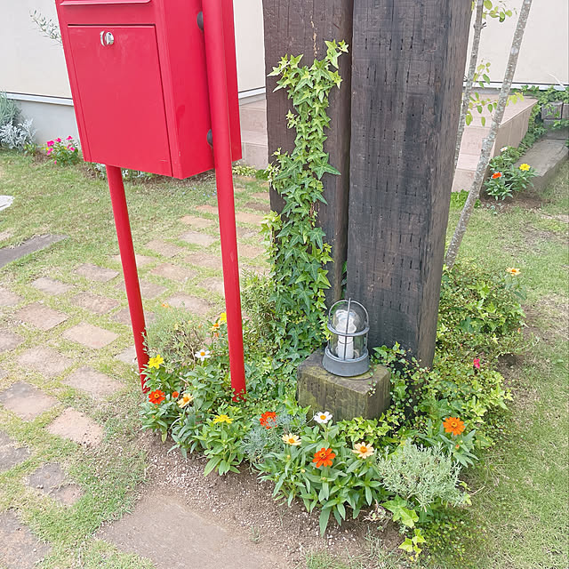 yoyo+さんの実例写真