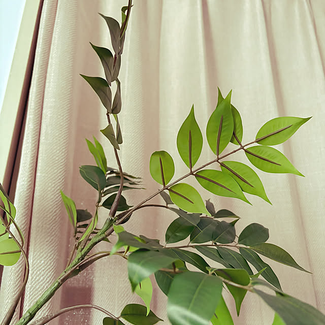rikaさんの部屋