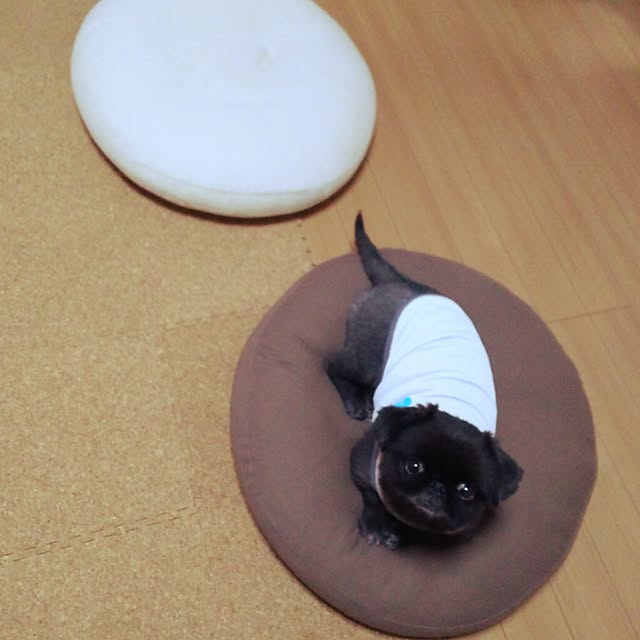 miruban1010さんの実例写真
