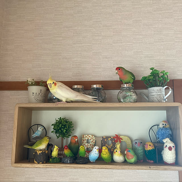 toratanさんの実例写真
