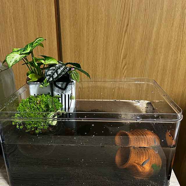 ayaさんの実例写真