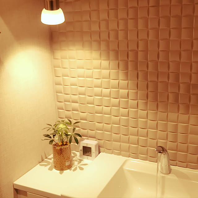 DIY/観葉植物/IKEA/照明/バス/トイレのインテリア実例 - 2021-04-29 17:56:13