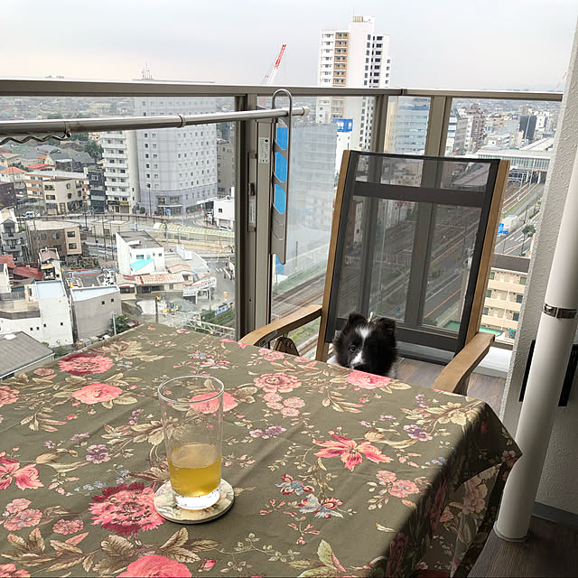InfiniRoseさんの実例写真