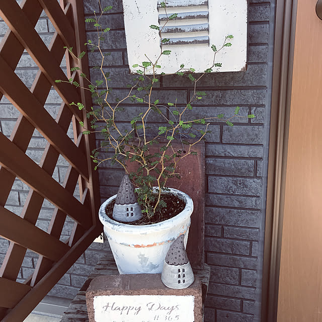 ikukoさんの実例写真