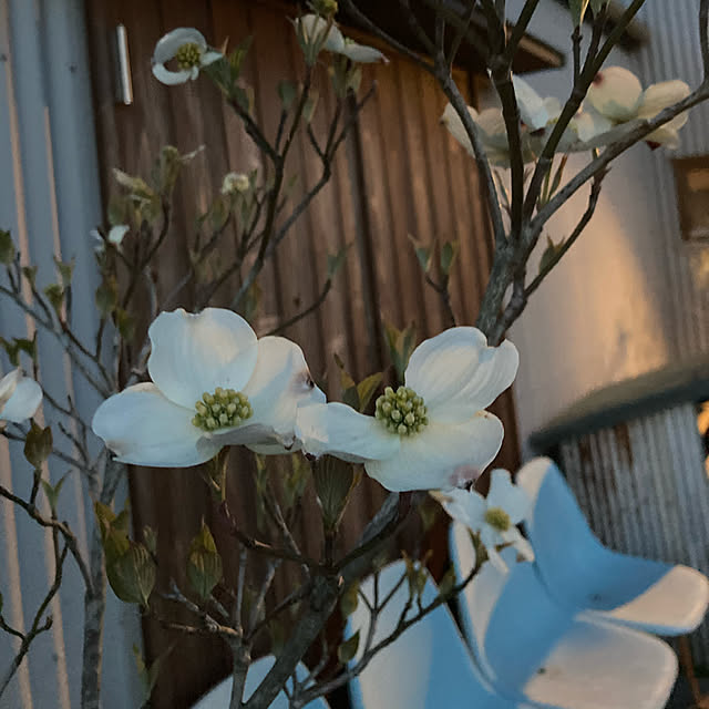 mkk8739hanasakuさんの実例写真