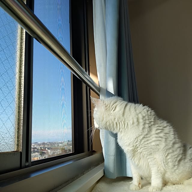 NOAHさんの部屋