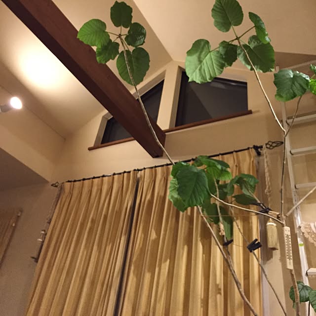 aaaさんの実例写真