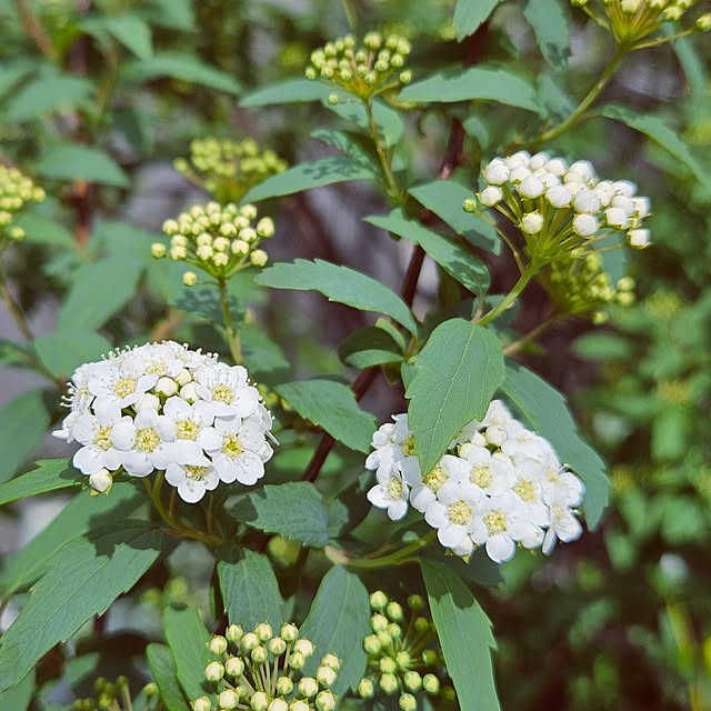 mocomocoさんの部屋