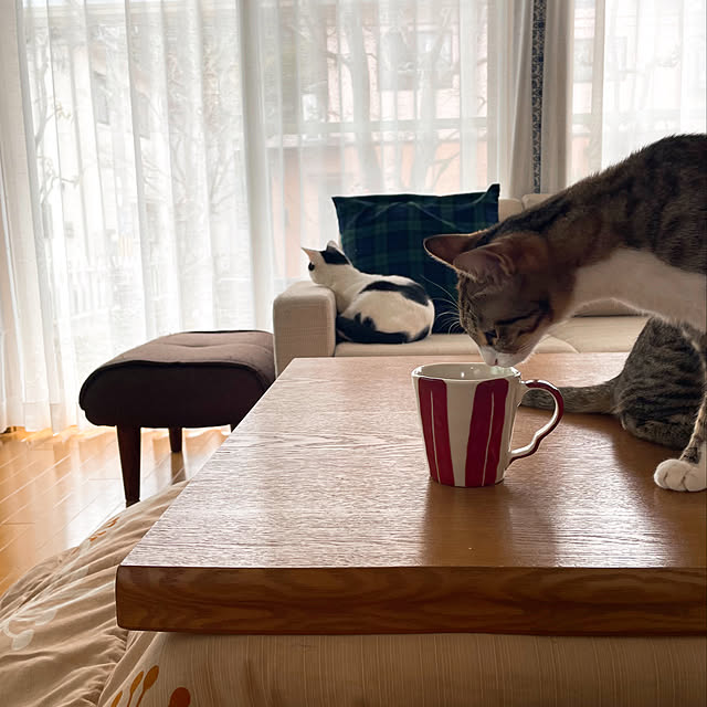nobikoさんの実例写真