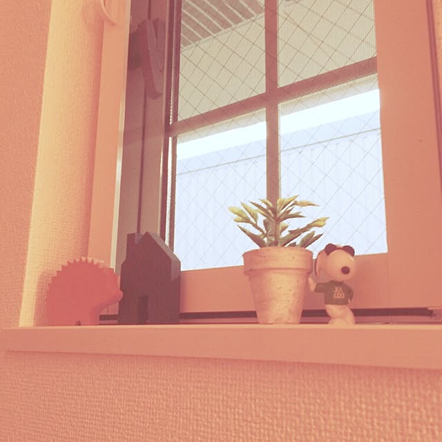 misachanさんの実例写真
