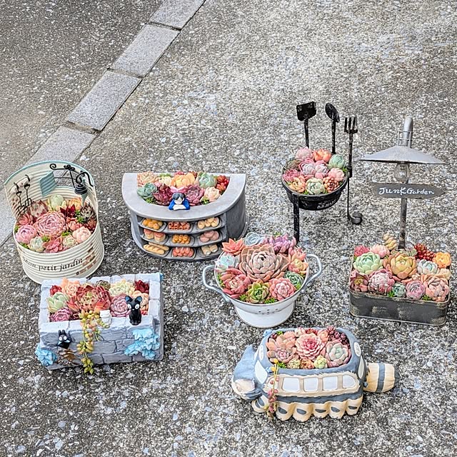 purpureさんの部屋