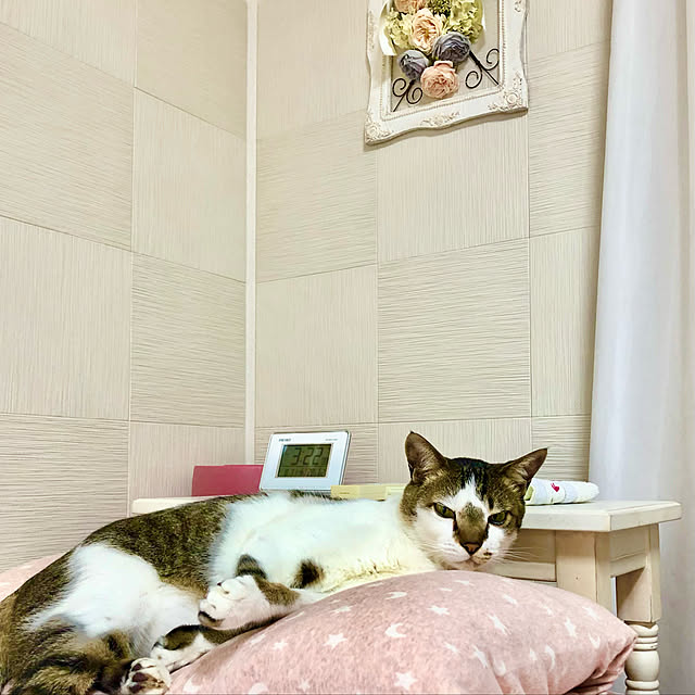 haruminさんの実例写真