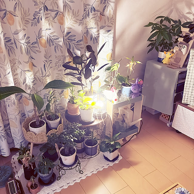 Nowaさんの実例写真