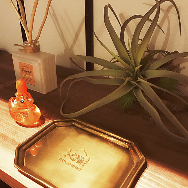 teclife_38さんの実例写真