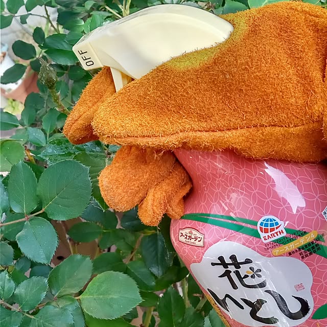 soraさんの部屋