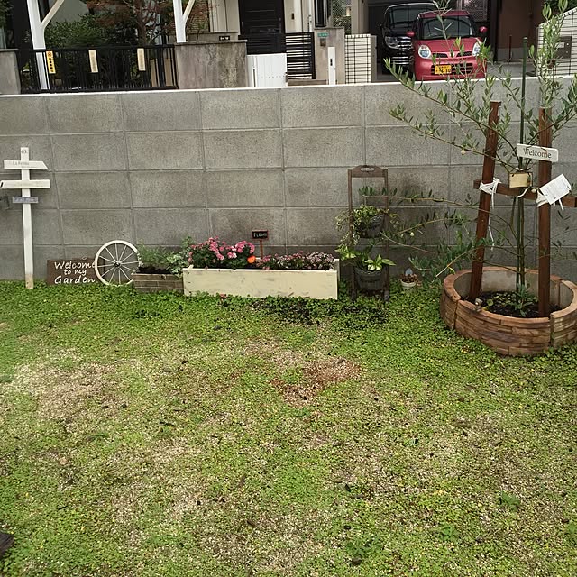 ringoさんの実例写真
