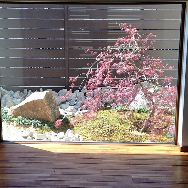 ruyzさんの実例写真