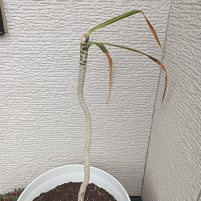tomo5さんの部屋