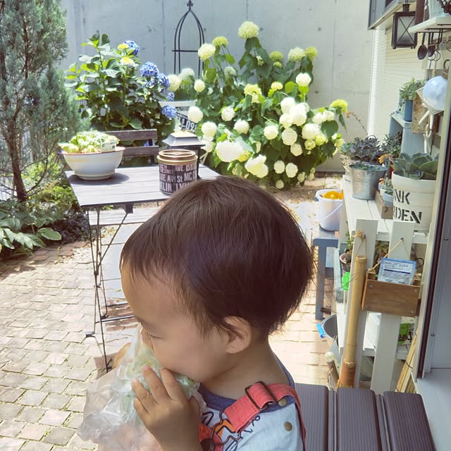kana_ciiさんの実例写真