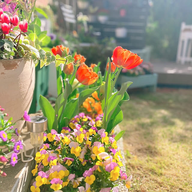 sunabaさんの部屋