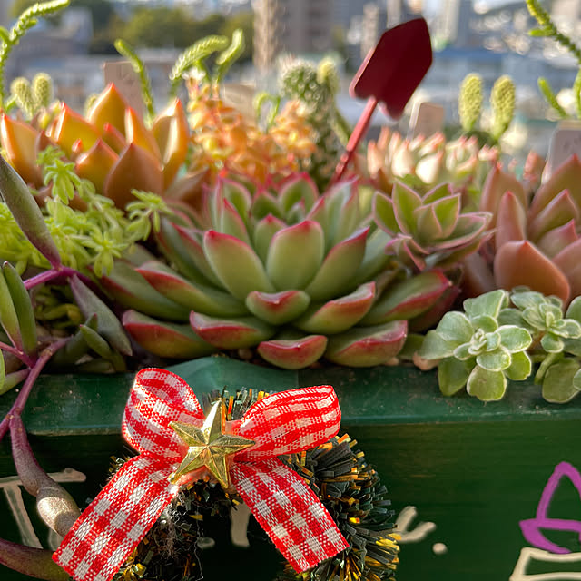 sata9さんの部屋