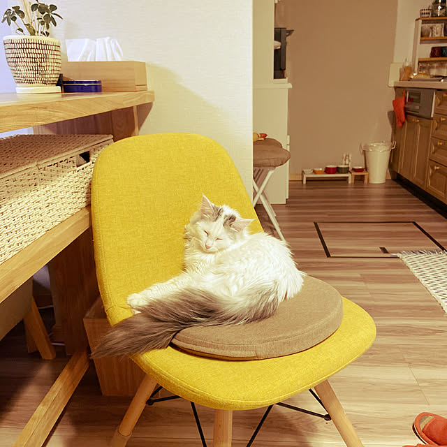 miwaさんの実例写真