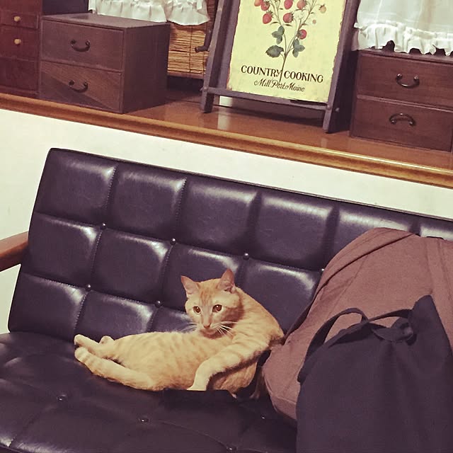 cocoamamaさんの実例写真