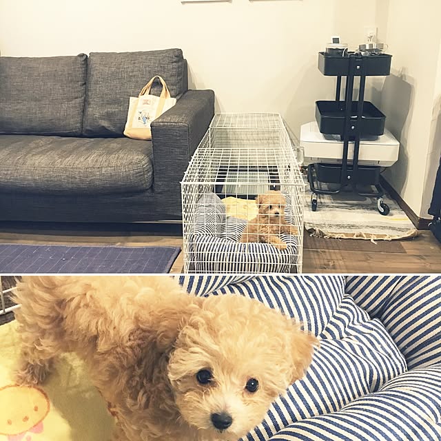 cocco0505さんの実例写真