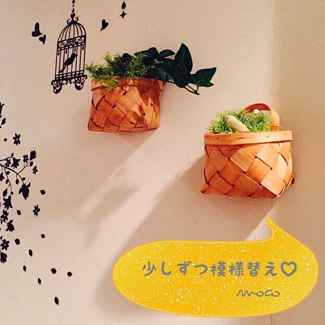 mocov_vmocoさんの実例写真