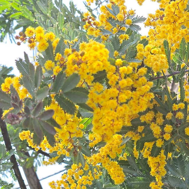 min_nimさんの部屋