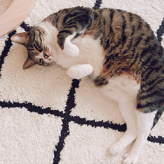 milkcocoaさんの実例写真