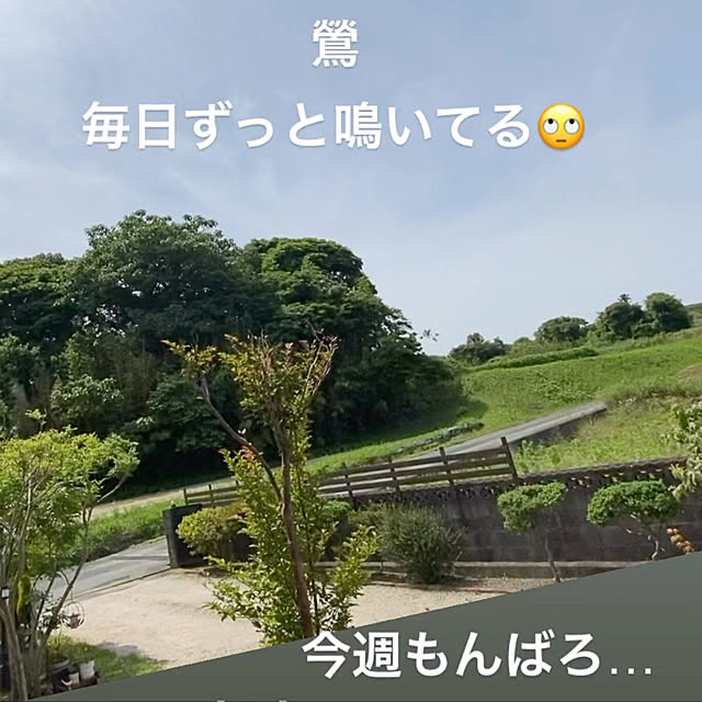 nanaさんの実例写真