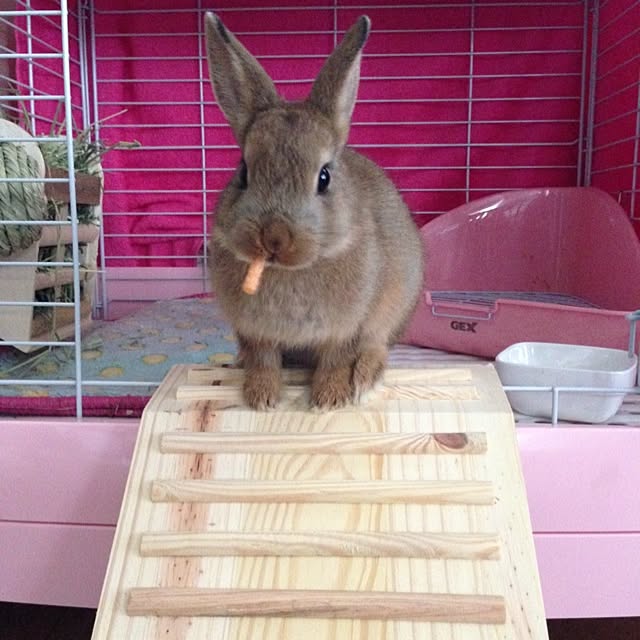 sayukiさんの実例写真