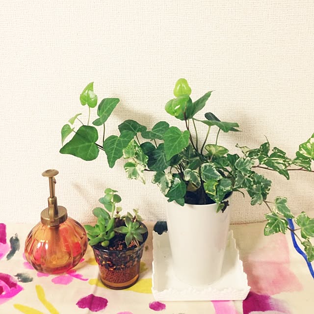 96yukaさんの実例写真