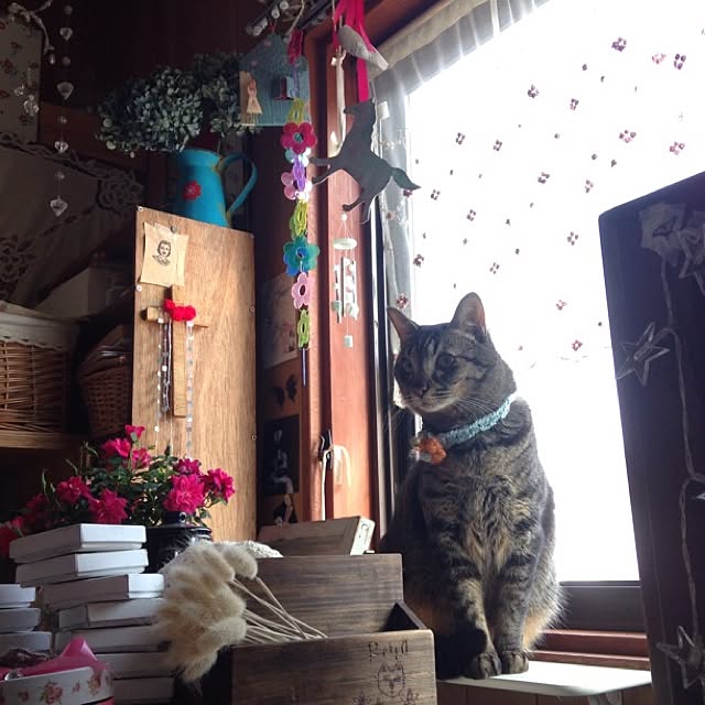 Lemon__chouさんの実例写真