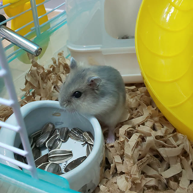 mieさんの実例写真