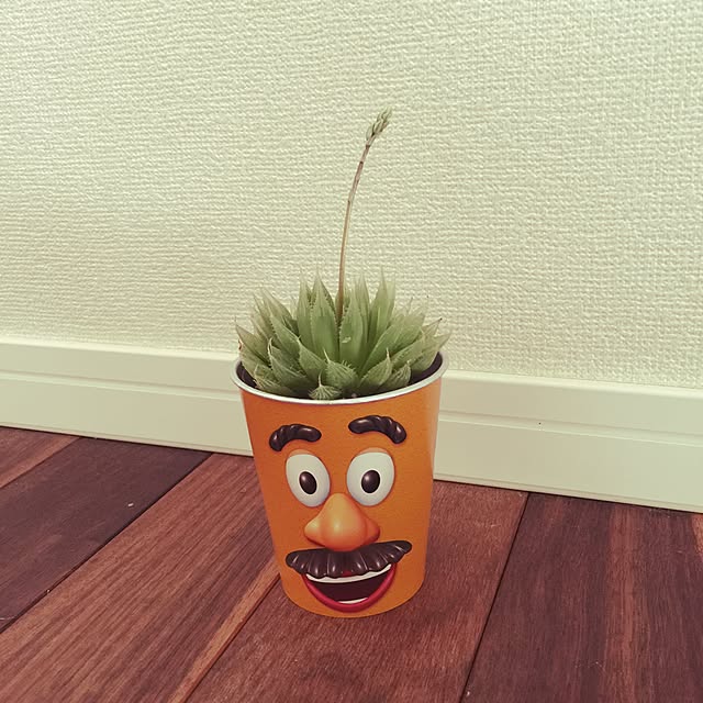 sykさんの実例写真