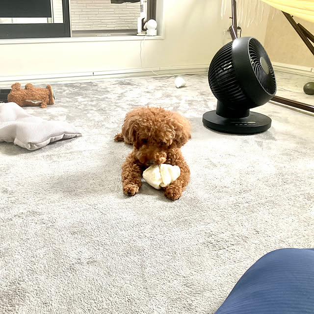 MOMOMAMAさんの部屋