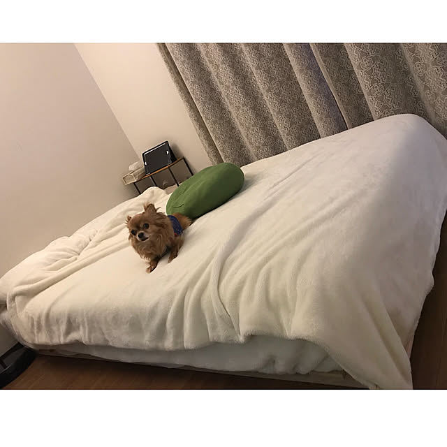 chomoさんの実例写真