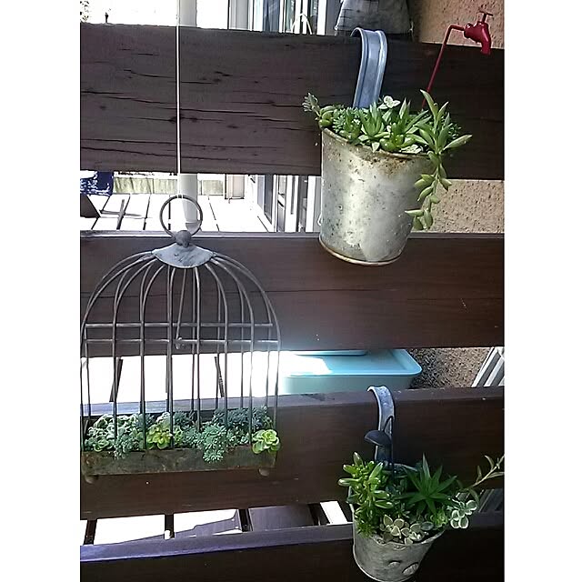 portulacaさんの実例写真